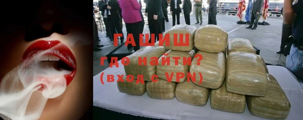 хмурый Болотное