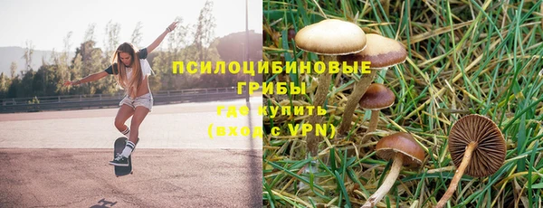 ешки Абдулино