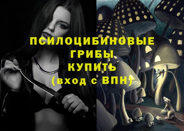 ешки Абдулино