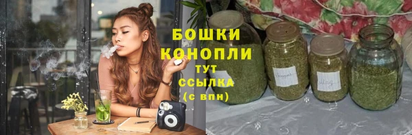 СК Пестово